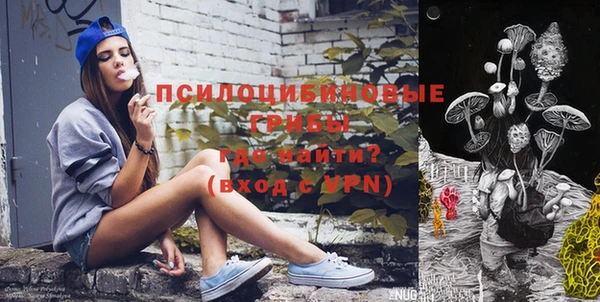 МДПВ Горнозаводск