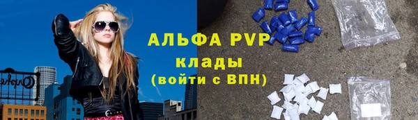 spice Горняк