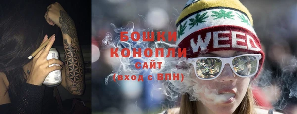 шишки Горно-Алтайск