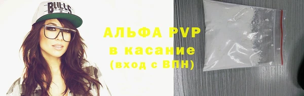 шишки Горно-Алтайск