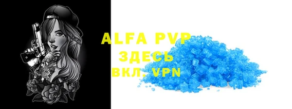 шишки Горно-Алтайск