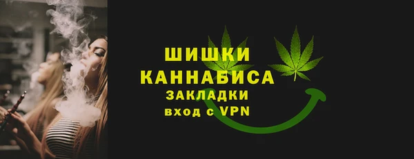 шишки Горно-Алтайск