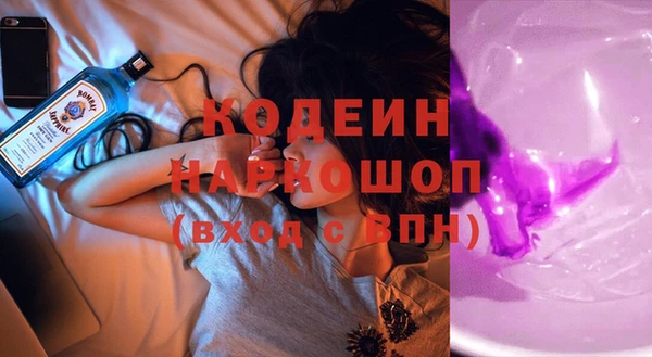 шишки Горно-Алтайск