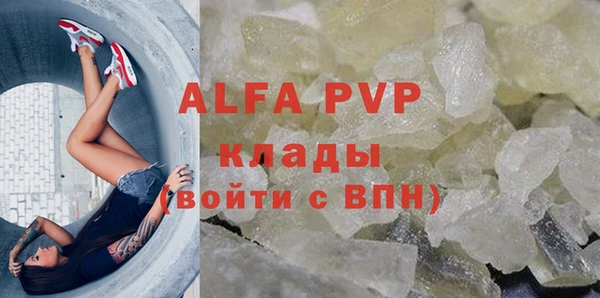 шишки Горно-Алтайск