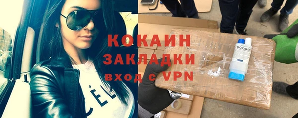 шишки Горно-Алтайск