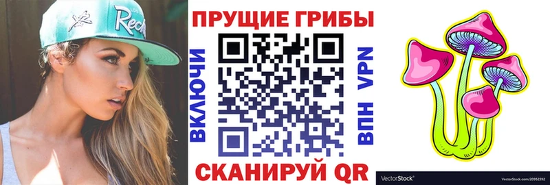 кракен вход  Ленинградская  Псилоцибиновые грибы GOLDEN TEACHER  дарнет шоп 
