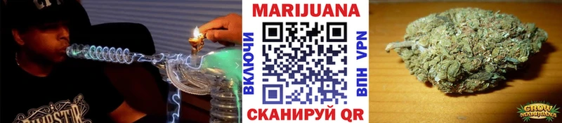 площадка формула  Ленинградская  Бошки Шишки планчик 